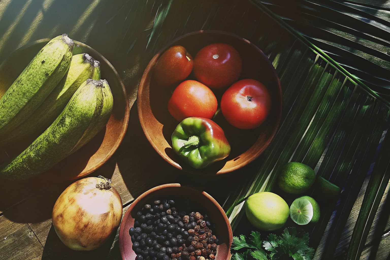 Ingredientes frescos costarricenses — tomates, plátanos, frijoles negros, cilantro